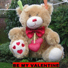 Click to view image
