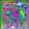 Click to view image