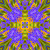 Click to view image
