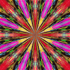 Click to view image