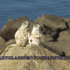Click to view image