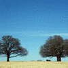 Click to view image