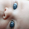Click to view image