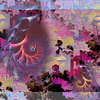 Click to view image