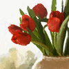 Click to view image