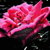 Click to view image