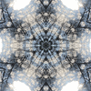 Click to view image