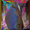 Click to view image