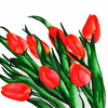 Click to view image