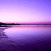 Click to view image