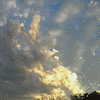 Click to view image