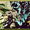 Click to view image