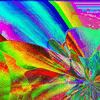 Click to view image