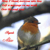Click to view image