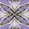 Click to view image