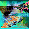 Click to view image
