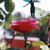Garden Play