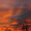 Click to view image