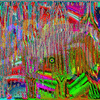 Click to view image
