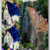 Click to view image