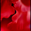 Random Image by Garabed Gligoriu