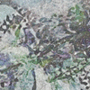 Click to view image
