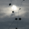 Click to view image