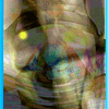 Click to view image