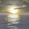 Click to view image