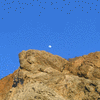 Click to view image