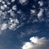 Click to view image