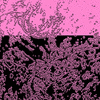 Click to view image