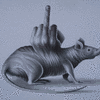 Click to view image