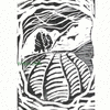 Click to view image