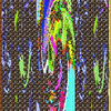 Click to view image