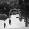 Click to view image