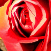 Click to view image
