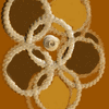 Click to view image