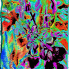 Click to view image