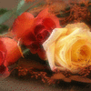 Click to view image