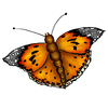 Click to view image