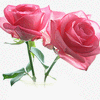 Click to view image