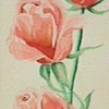 Click to view image