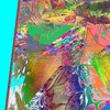 Click to view image