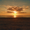 Click to view image