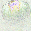 Click to view image