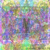 Click to view image