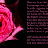 Click to view image