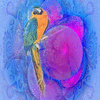Click to view image