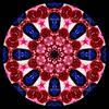 Click to view image